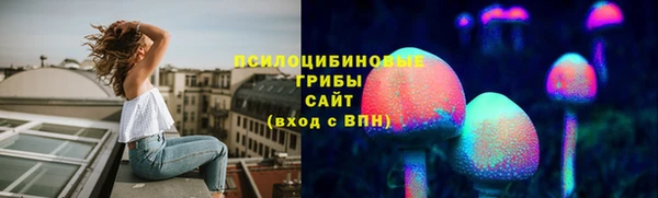 шишки Бронницы